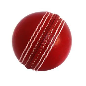 A Cricket Ball